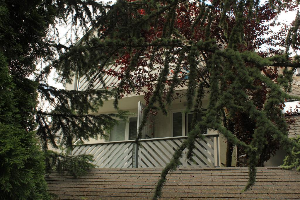 Vila Apartment Bled Lake Extérieur photo